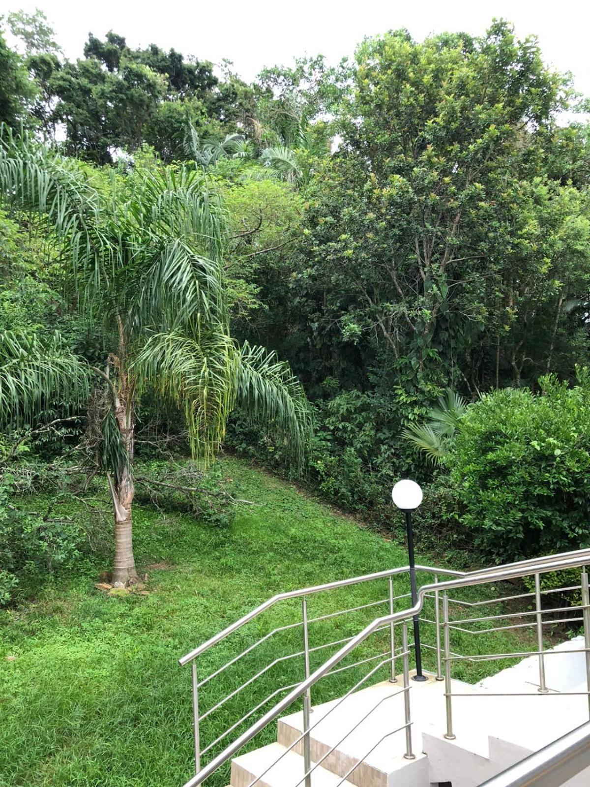 Casa Figueira Na Pedra 호텔 Florianópolis 외부 사진